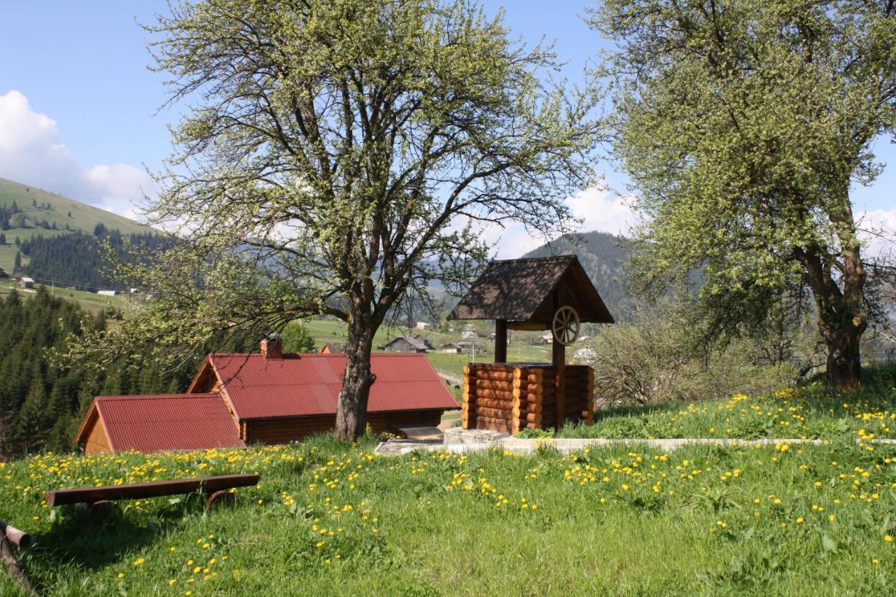 Polonyna Villa Verkhovyna Buitenkant foto