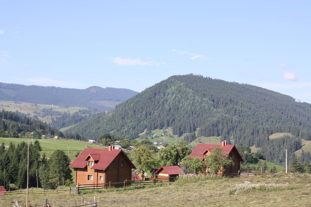 Polonyna Villa Verkhovyna Buitenkant foto