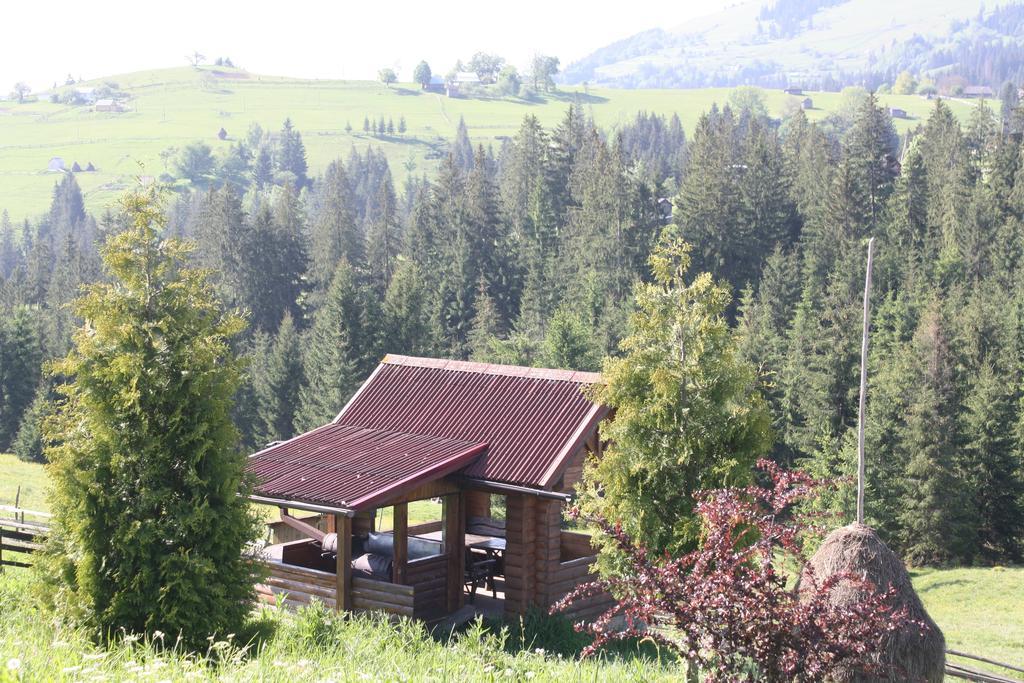 Polonyna Villa Verkhovyna Buitenkant foto