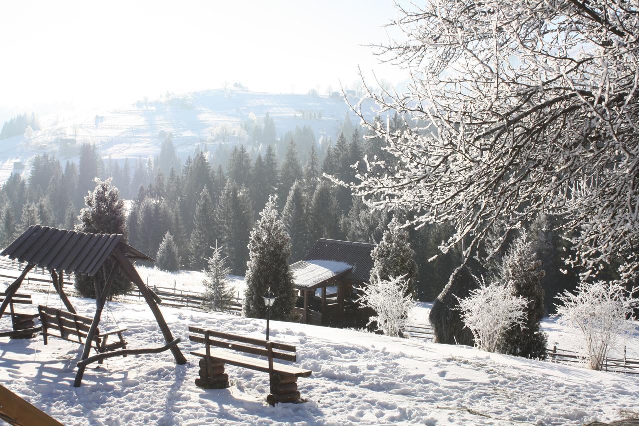 Polonyna Villa Verkhovyna Buitenkant foto