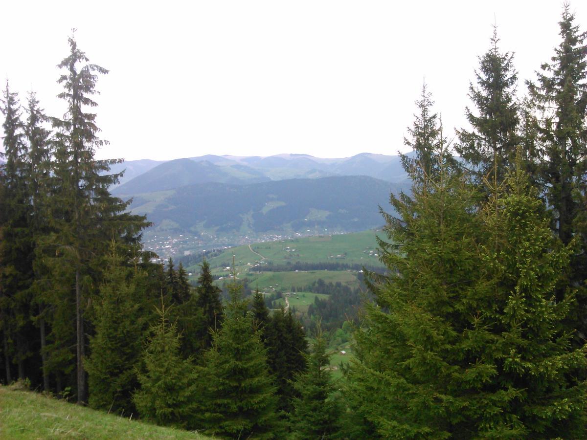 Polonyna Villa Verkhovyna Buitenkant foto