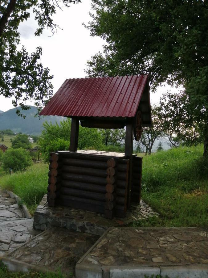 Polonyna Villa Verkhovyna Buitenkant foto